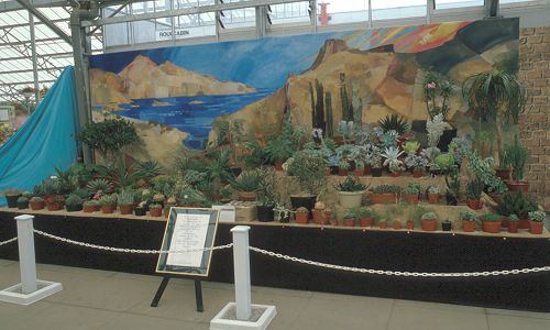 Succulent Display - National Garden Festival