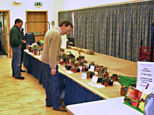 Examining the table show entries (2006)