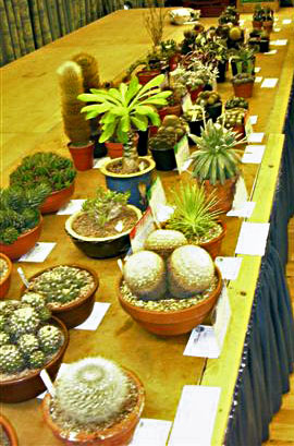 Entries in the table show (2006)